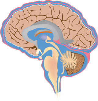 MS, RRMS, MoveS-it Study